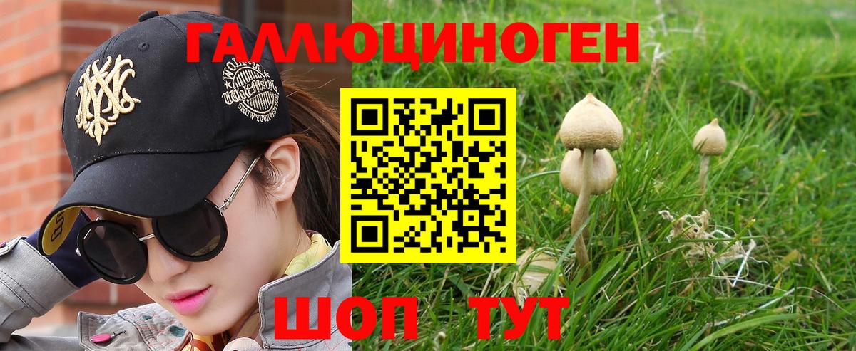 Галлюциногенные грибы Psilocybe Великий Новгород